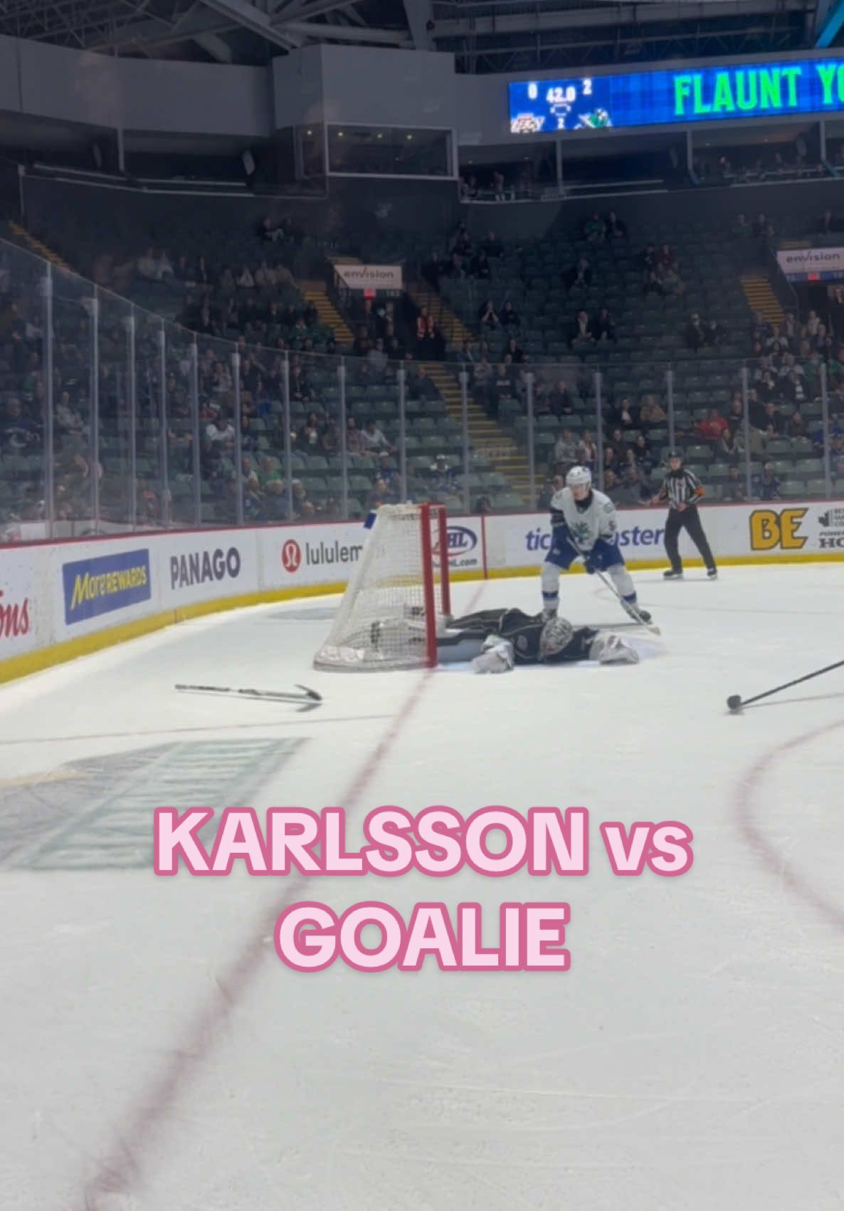 Video post by @itsemraine on TikTok