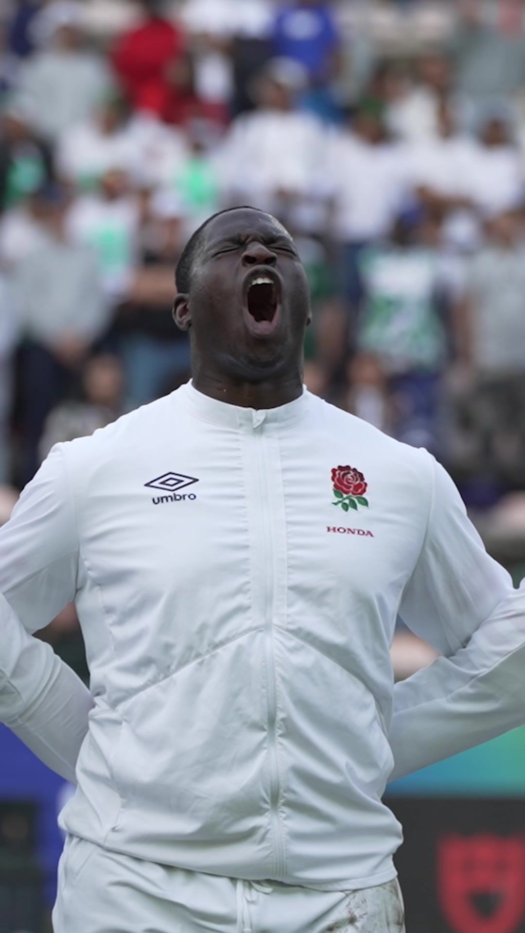 Video post by @rugbypass on TikTok