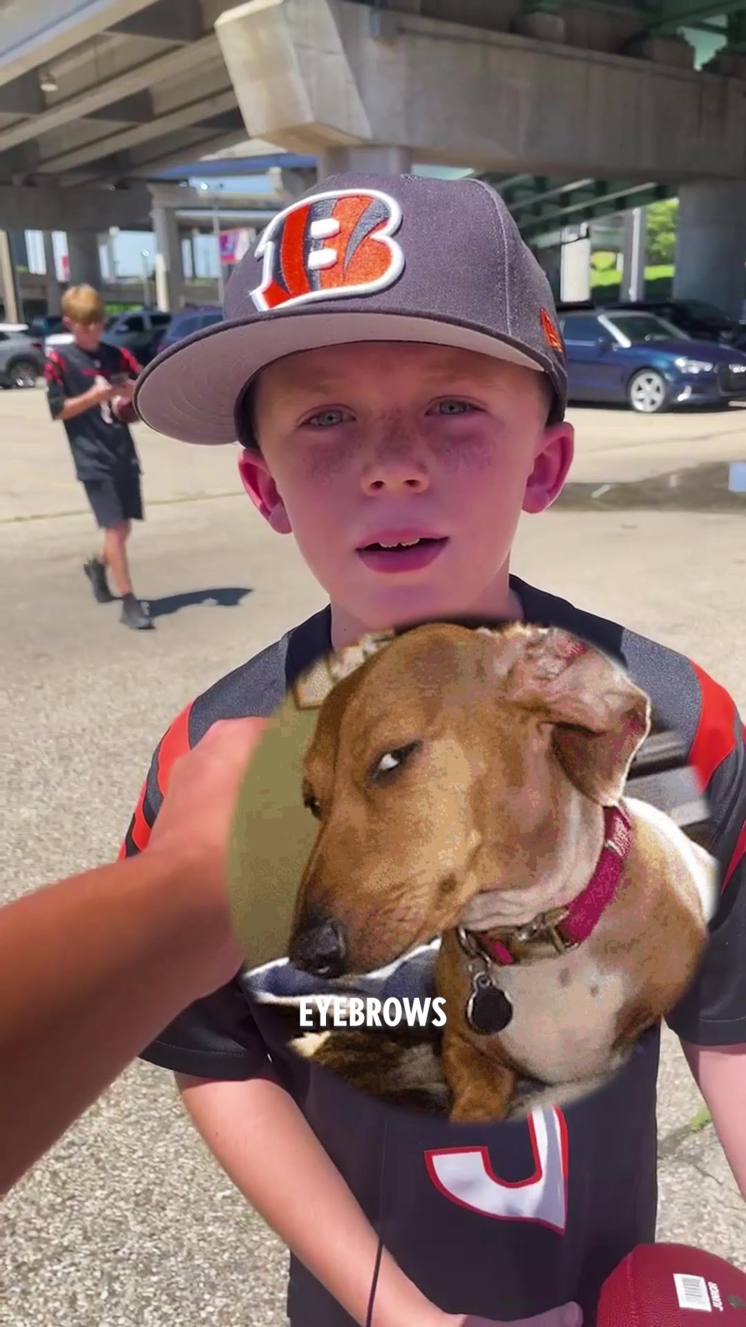 Video post by @bengals on TikTok
