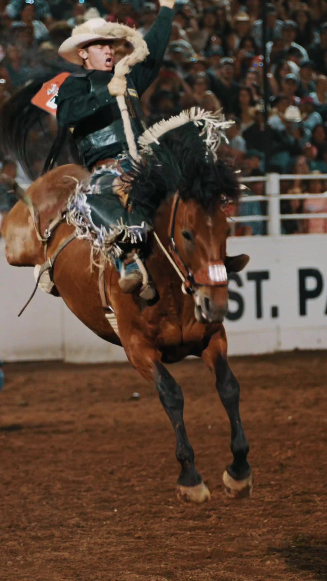 Video post by @wyatt_wentz on TikTok