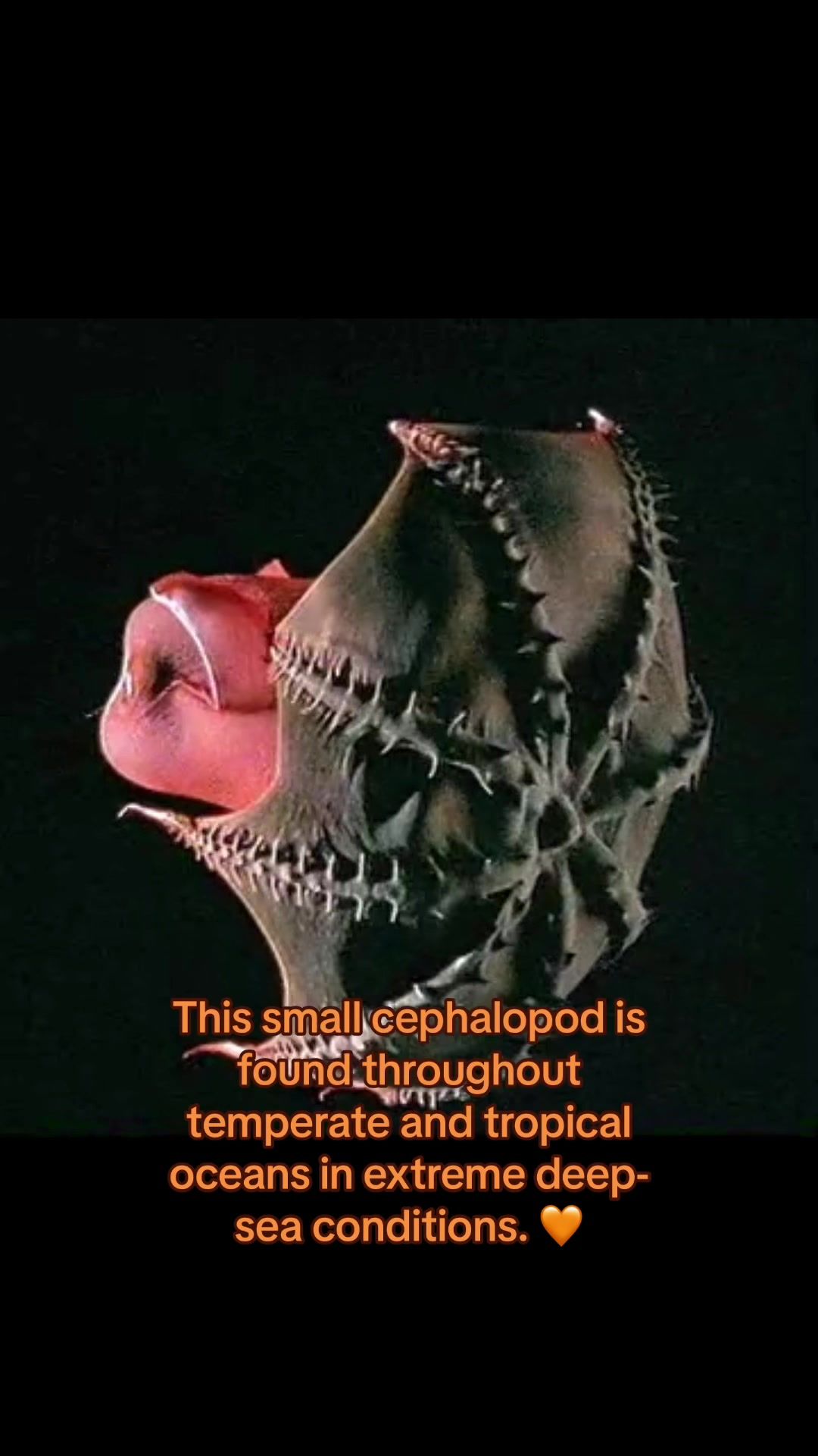 Video post by @sciencechannel on TikTok