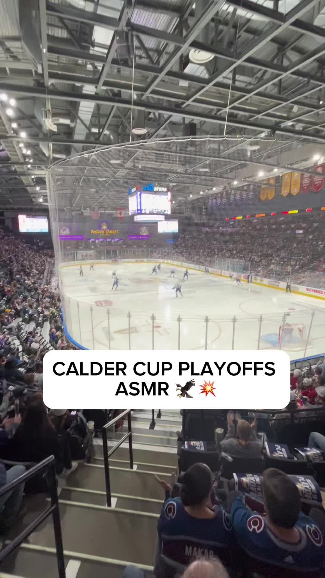 Video post by @bluefcuarena on TikTok