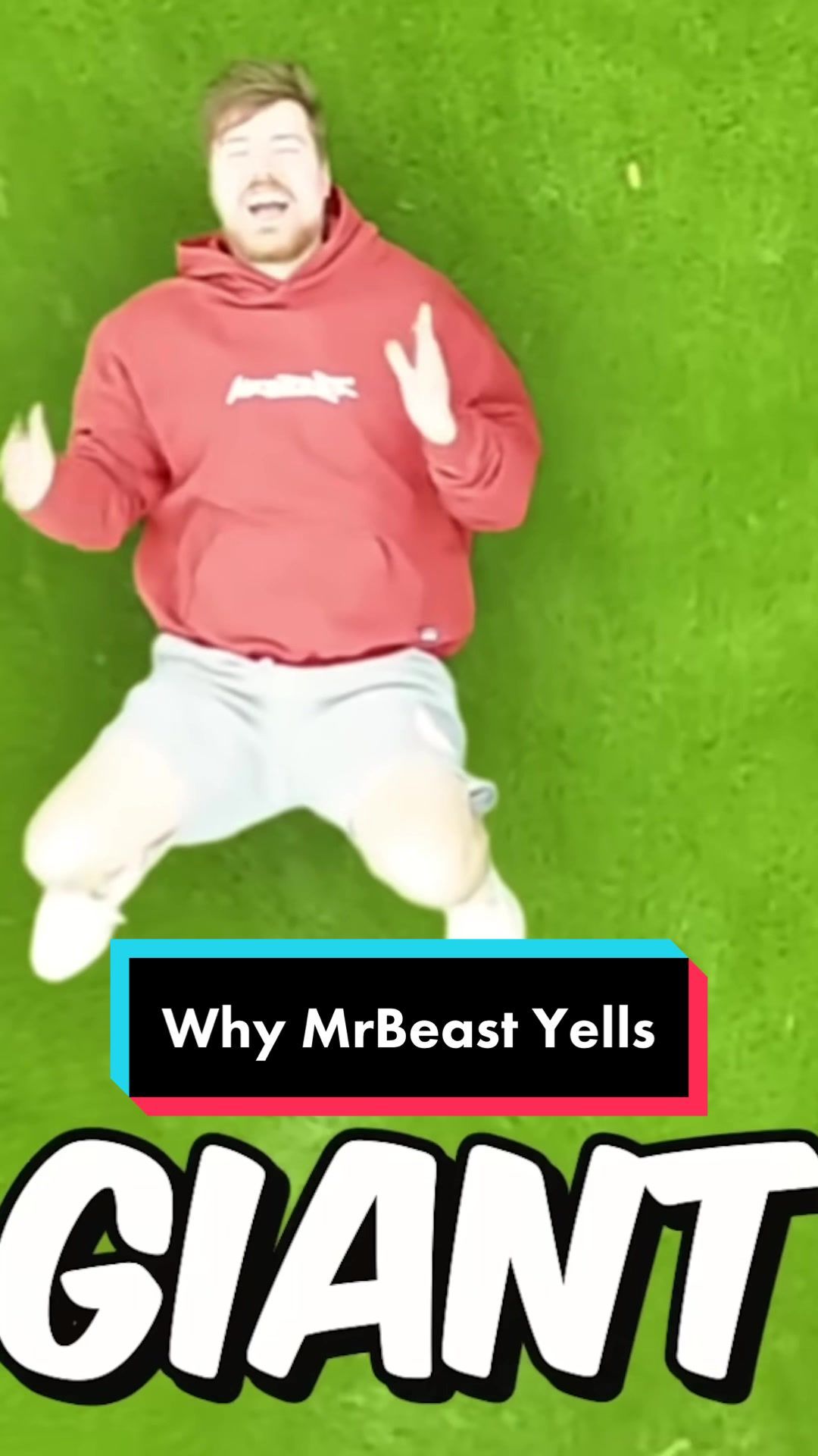 Video post by @thefranswah on TikTok