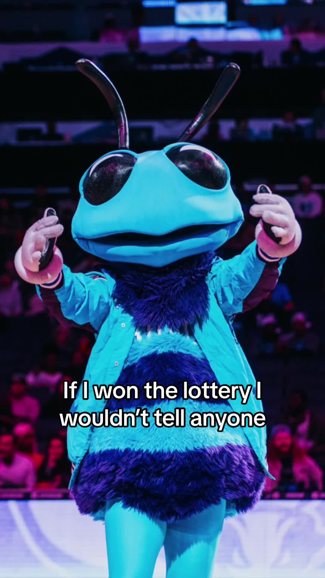 Video post by @hugothehornet on TikTok
