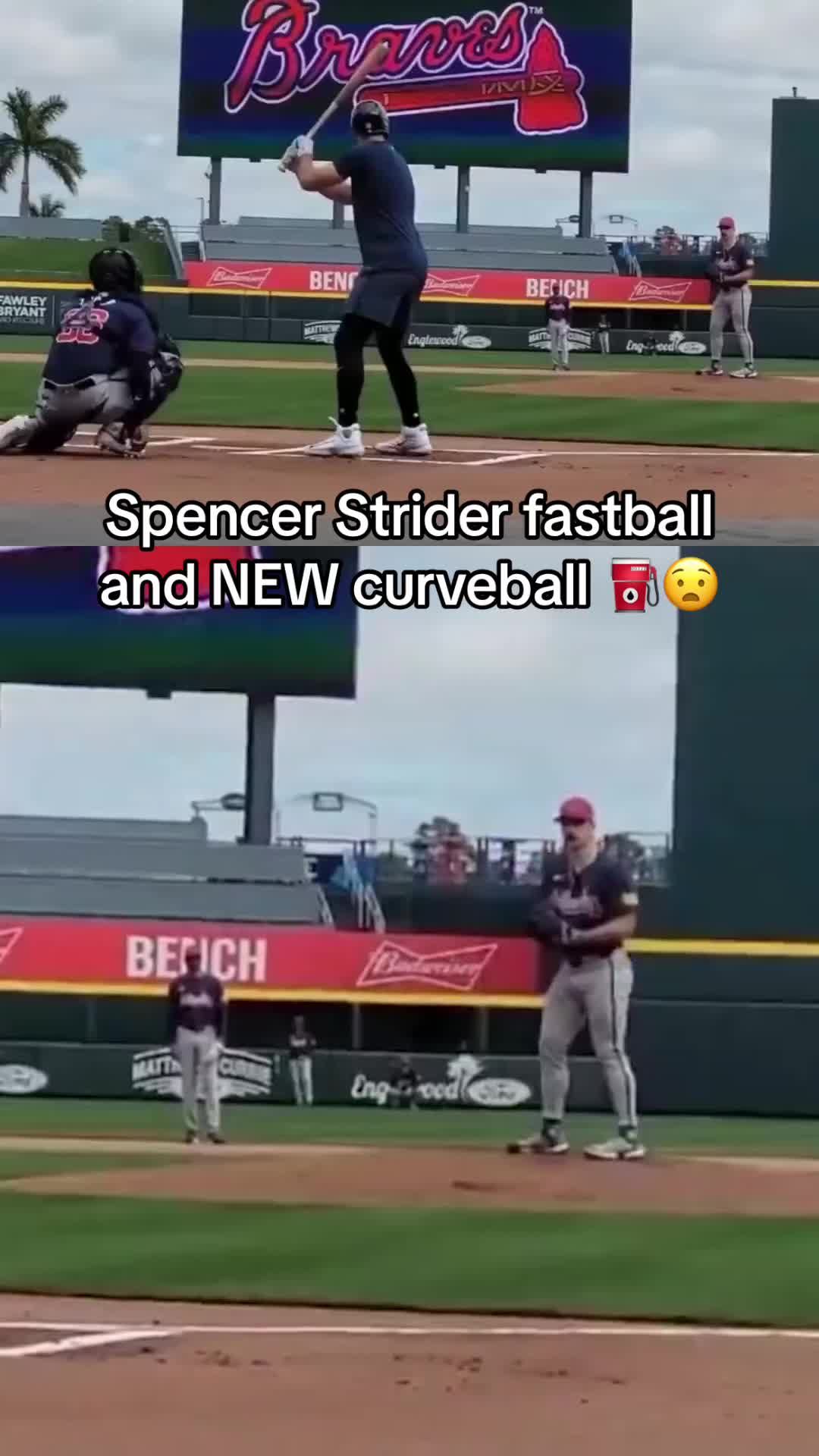 Video post by @mlbonfox on TikTok