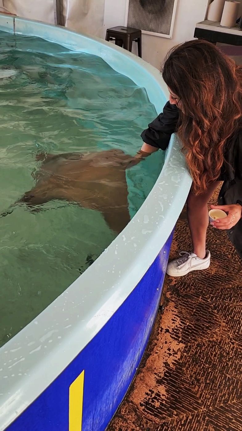 Video post by @bella__gabriela_ on TikTok