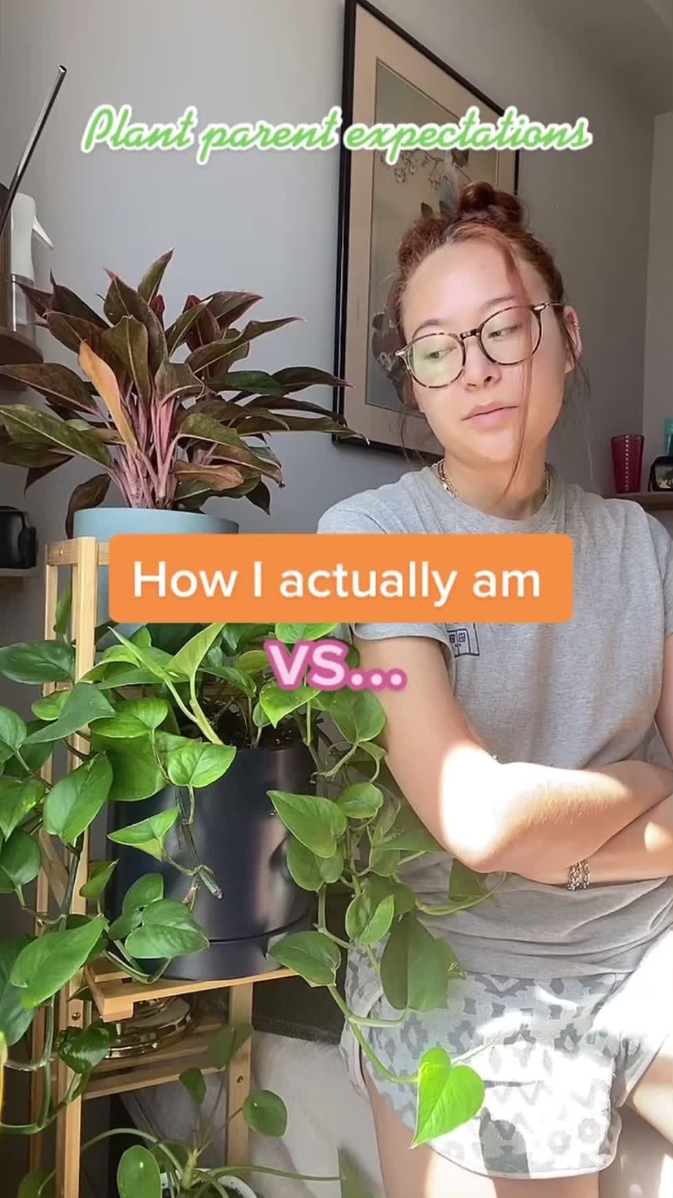 Video post by @miraclegro on TikTok