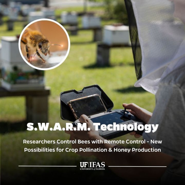 Image post by @UFIFASNews on Facebook