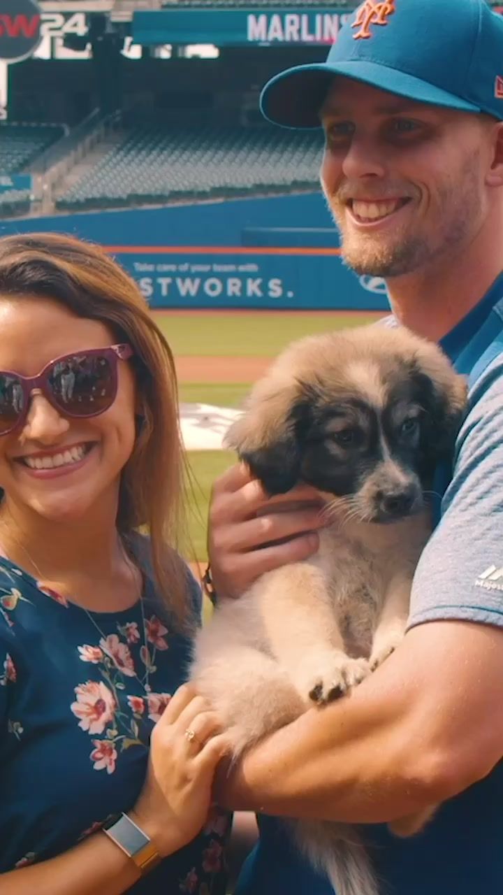 Video post by @mets on TikTok