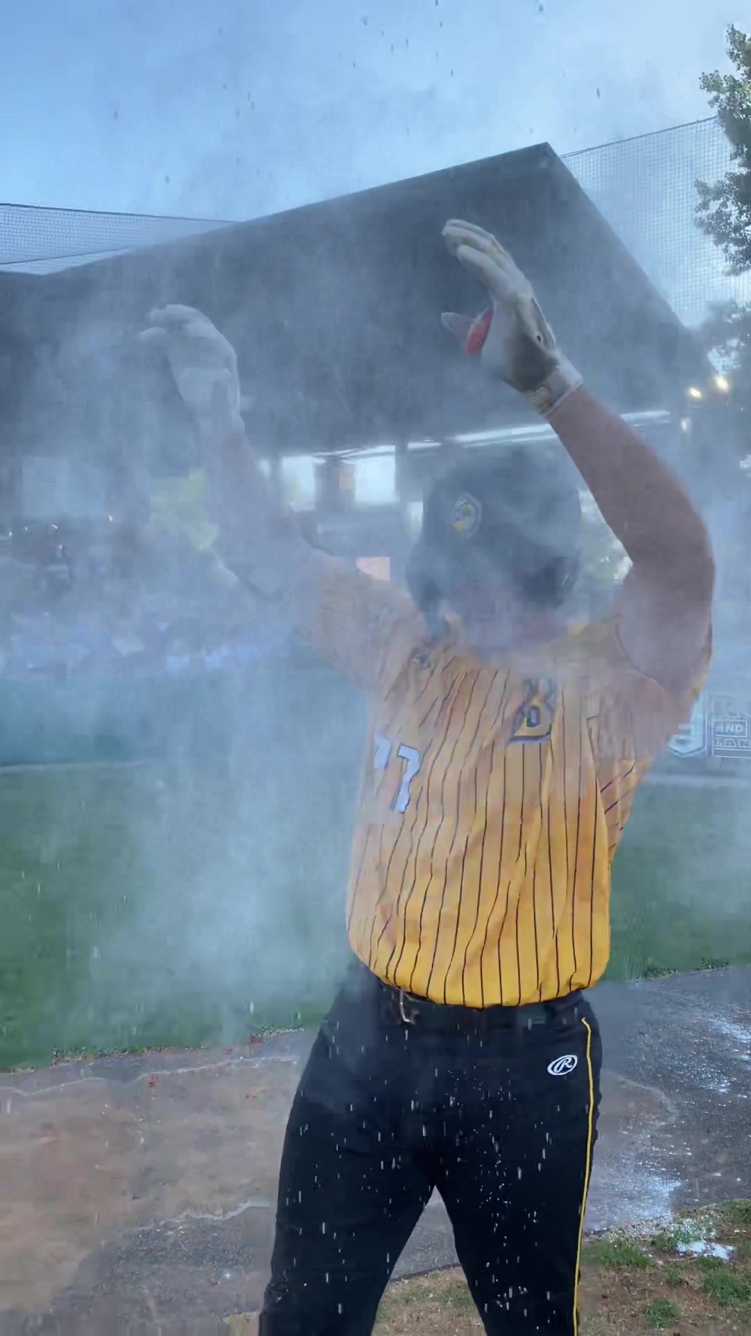 Video post by @bismarcklarks on TikTok