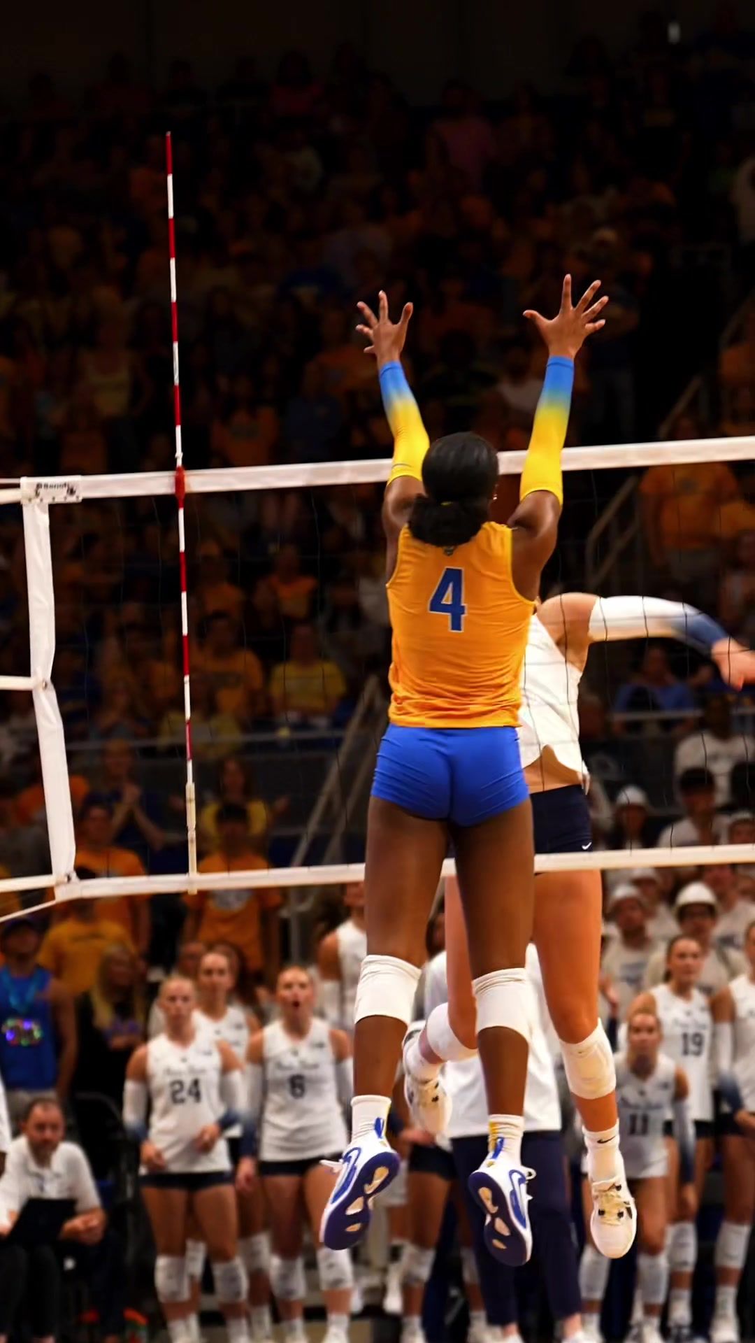 Video post by @winterxst on TikTok