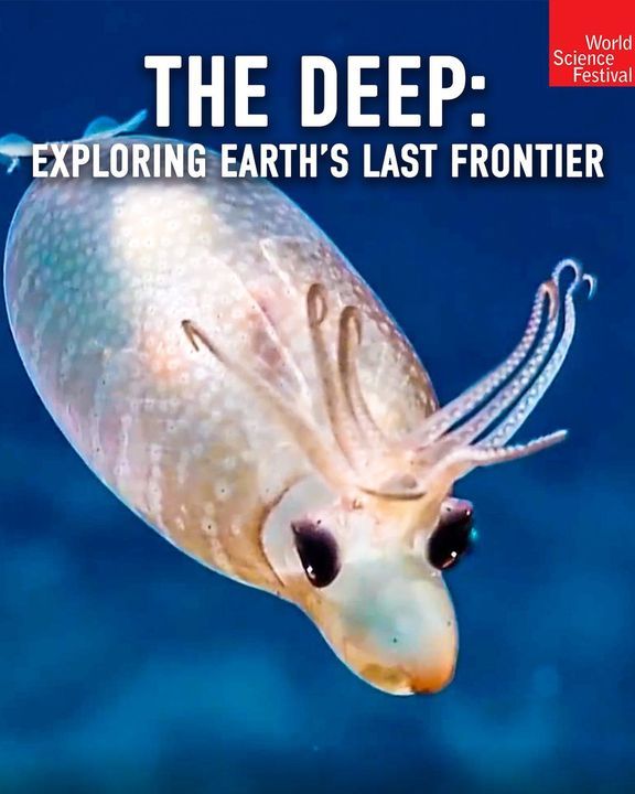 Image post by @worldsciencefestival on Facebook