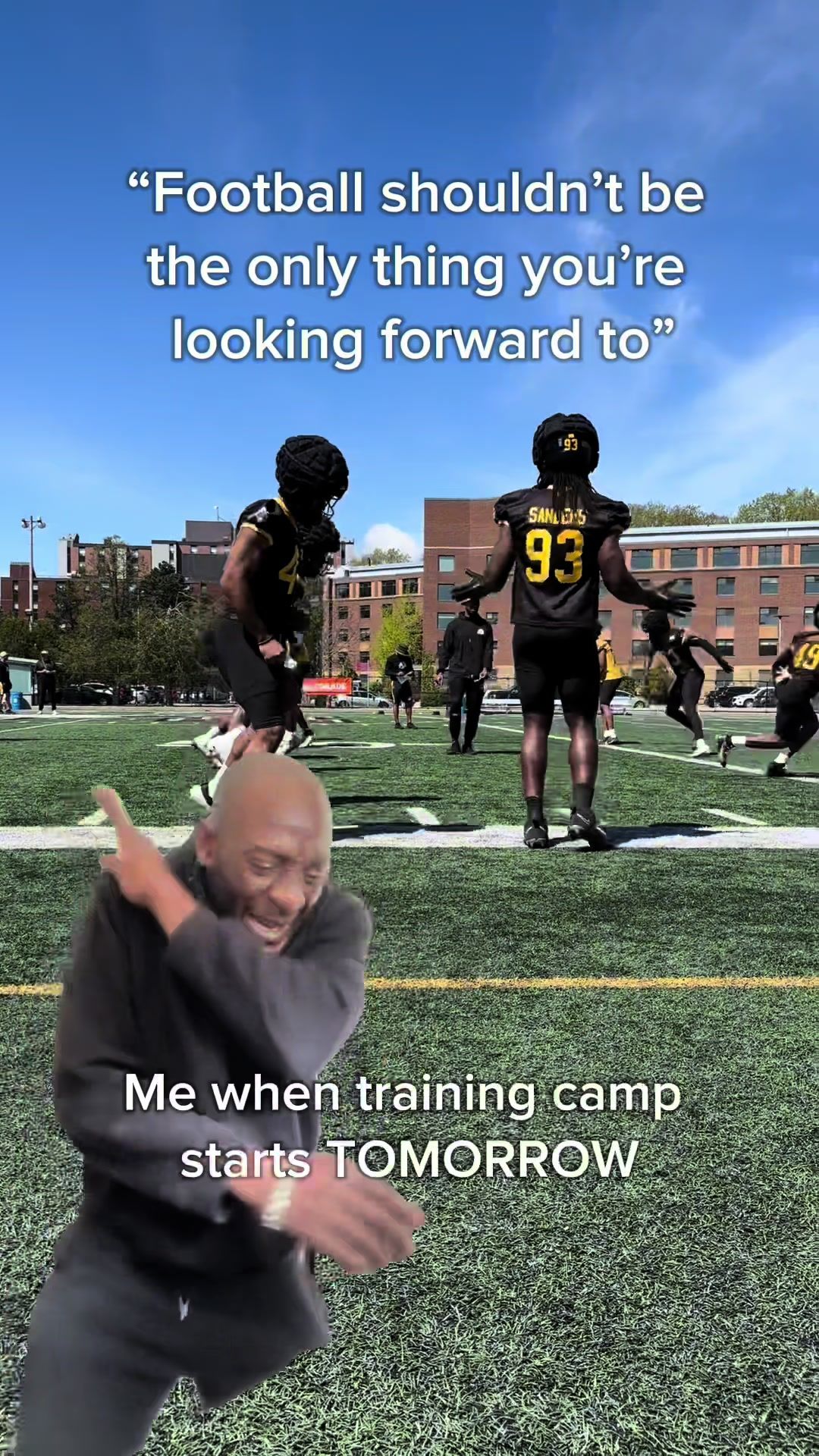Video post by @hamiltonticats on TikTok