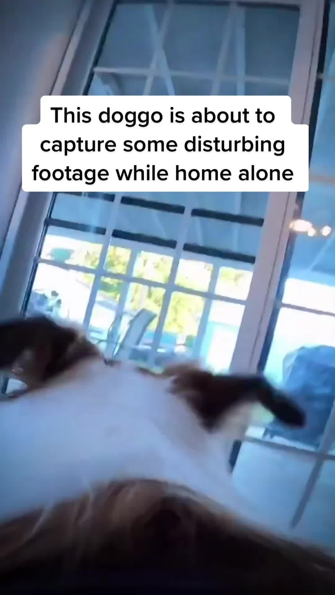 Video post by @travelchannel on TikTok