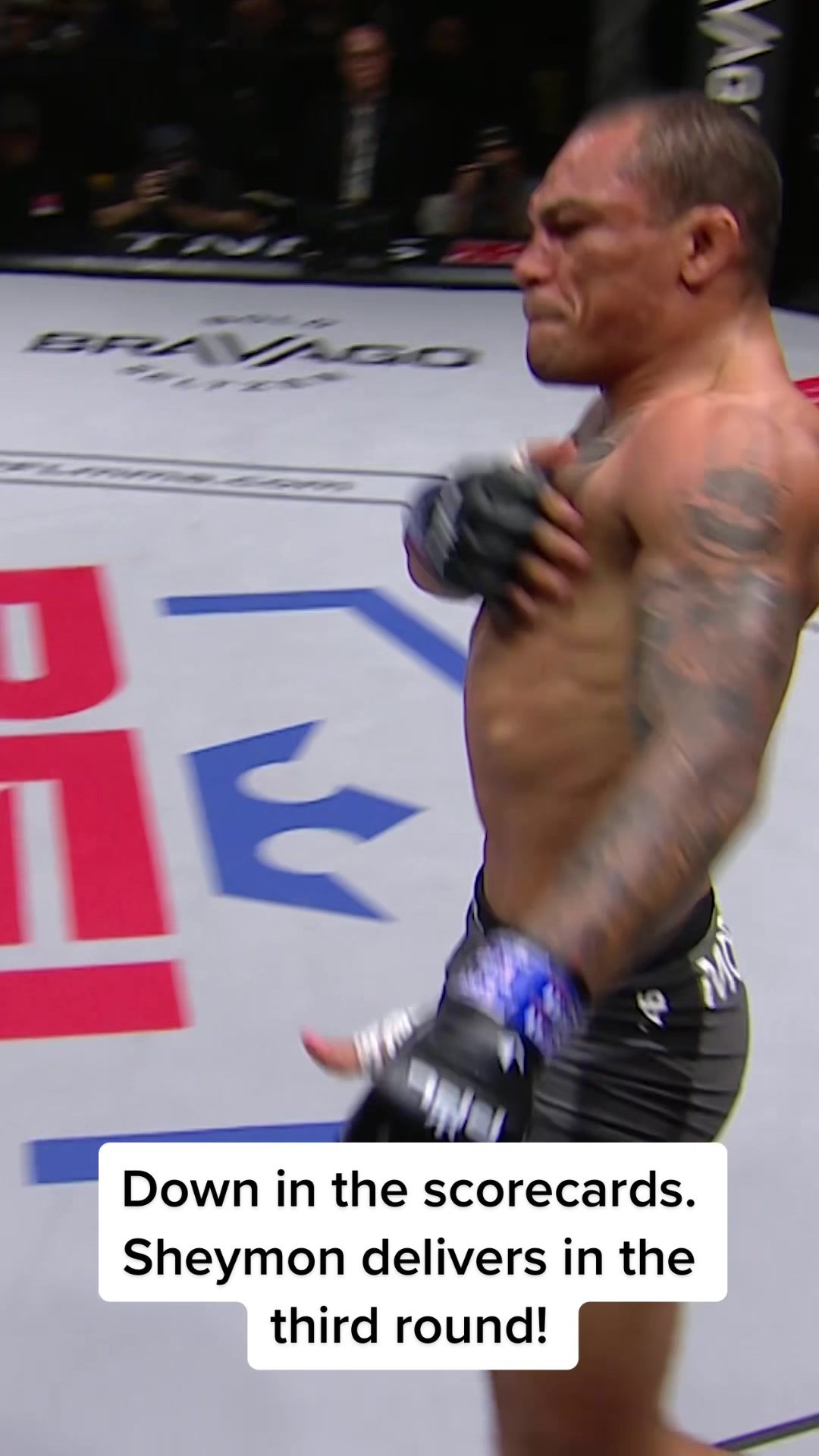 Video post by @pflmma on TikTok