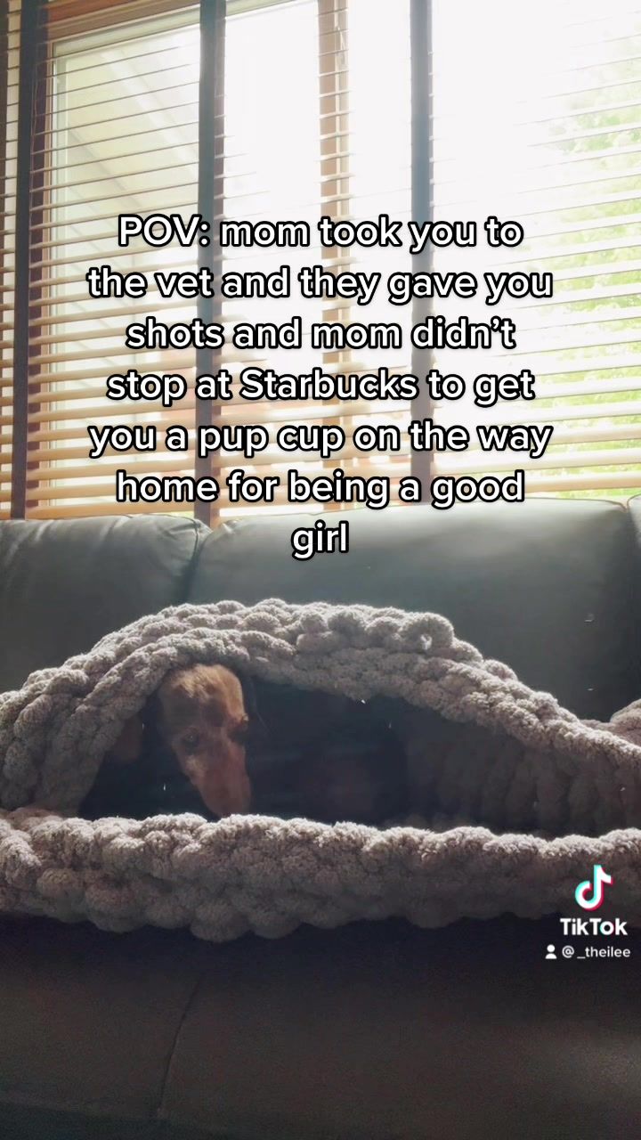 Video post by @_theilee_ on TikTok