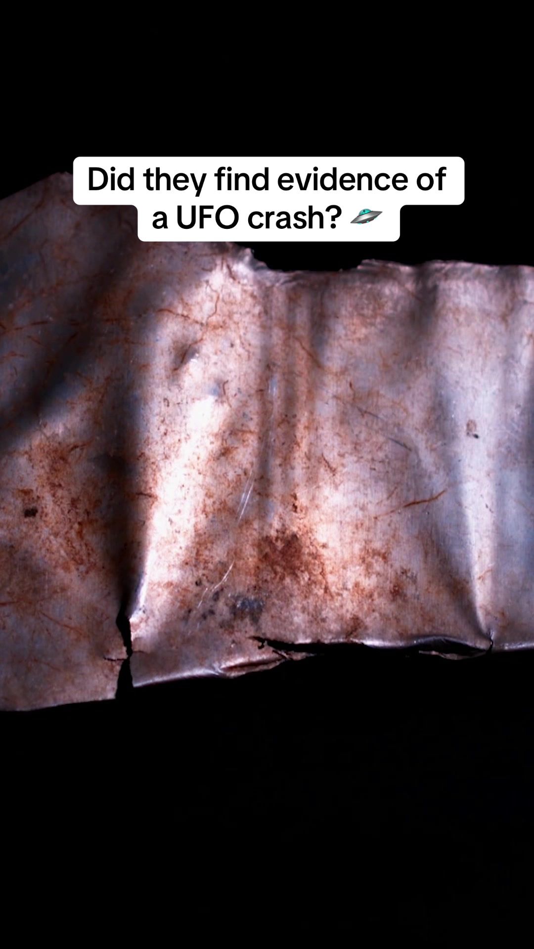 Video post by @discovery on TikTok