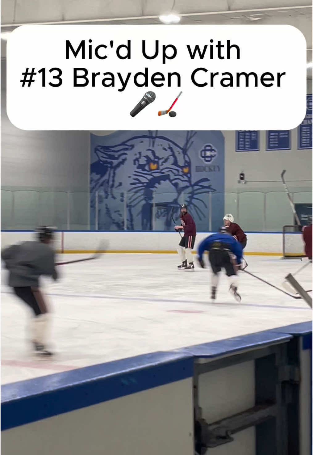 Video post by @aqhockey on TikTok