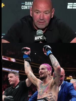 Video post by @ on TikTok