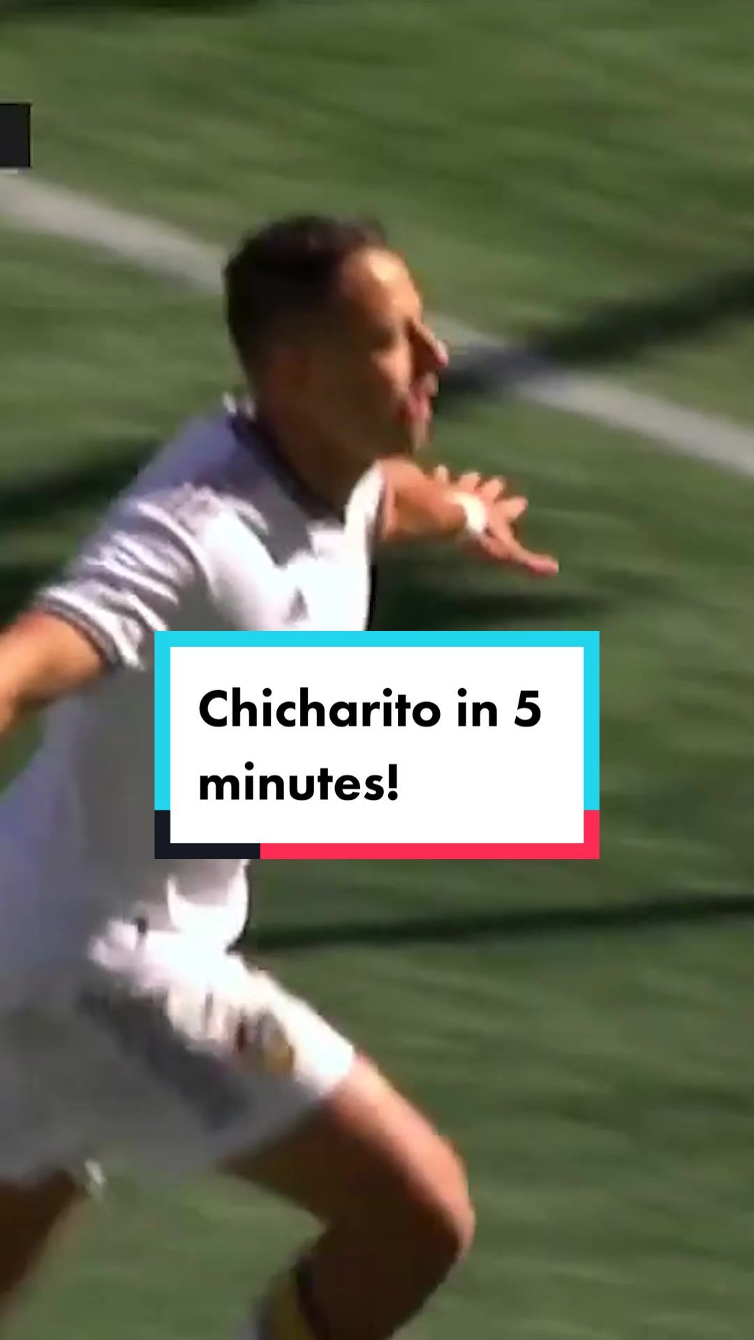 Video post by @mls on TikTok