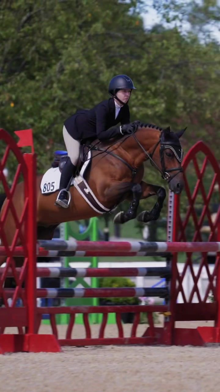 Video post by @usequestrian on TikTok