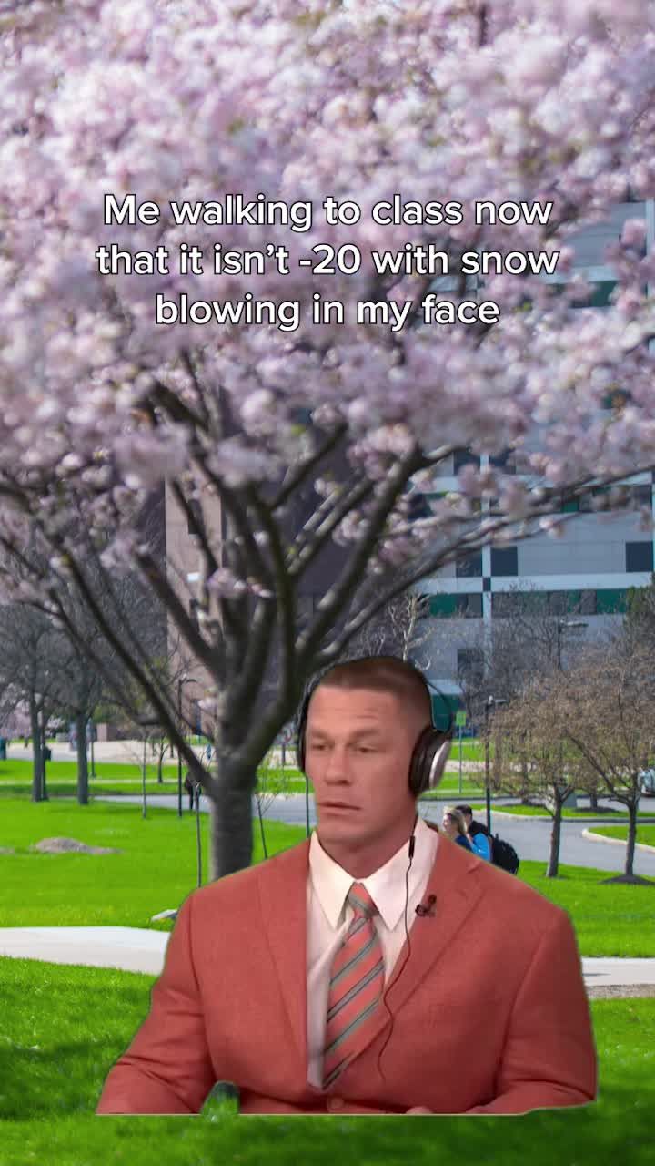 Video post by @ubuffalo on TikTok