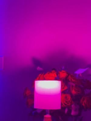 Video post by @madisonsetzerxo on TikTok