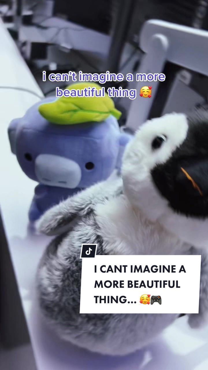 Video post by @complexity on TikTok