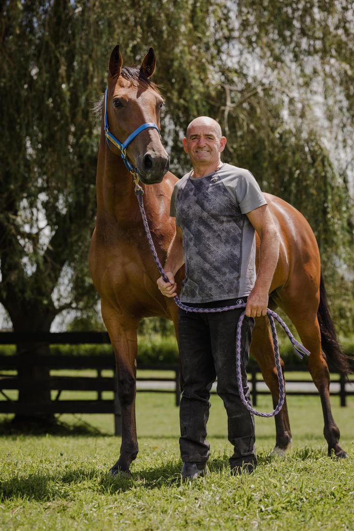 Image post by @NZHorseAmbulanceTrust on Facebook