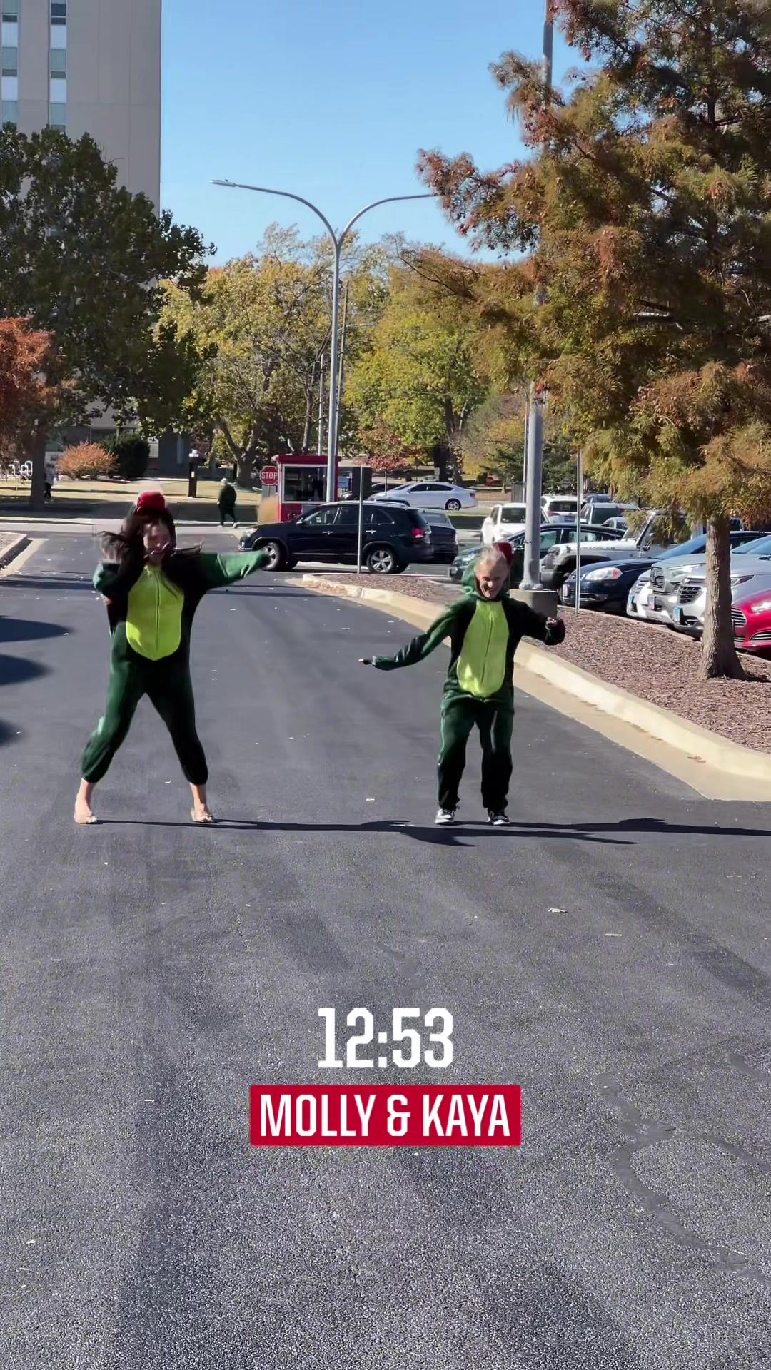 Video post by @isuredbirds on TikTok