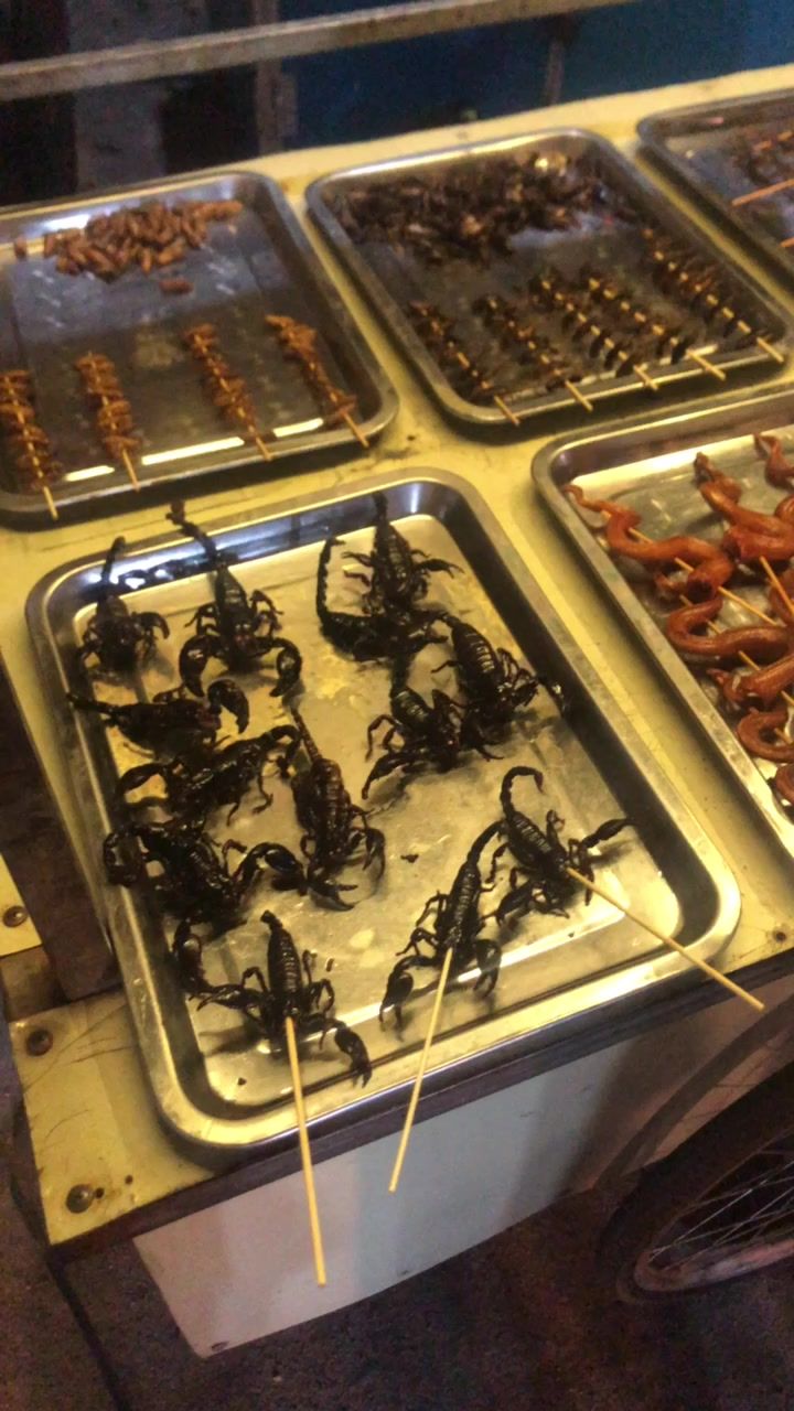 Video post by @olderelder on TikTok