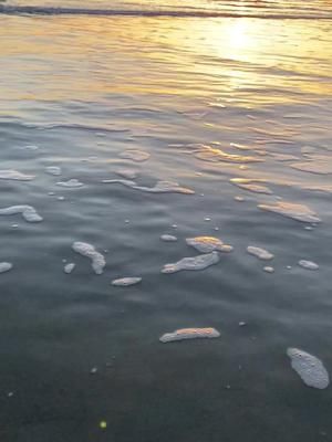 Video post by @itsdaniclardy on TikTok