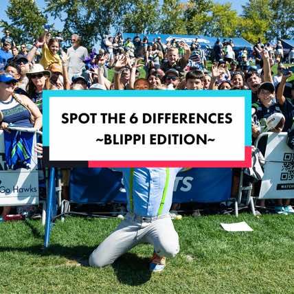 Image post by @seahawks on TikTok