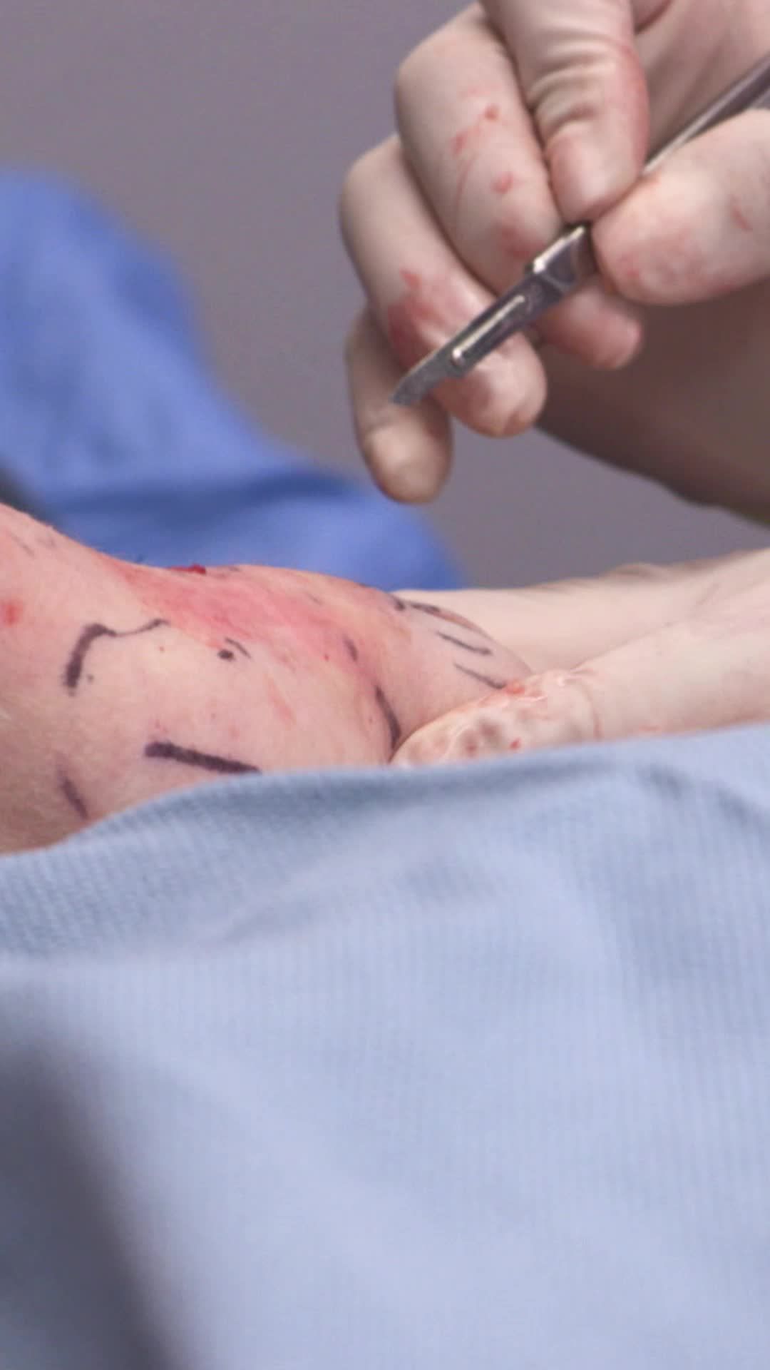 Video post by @tlctv on TikTok