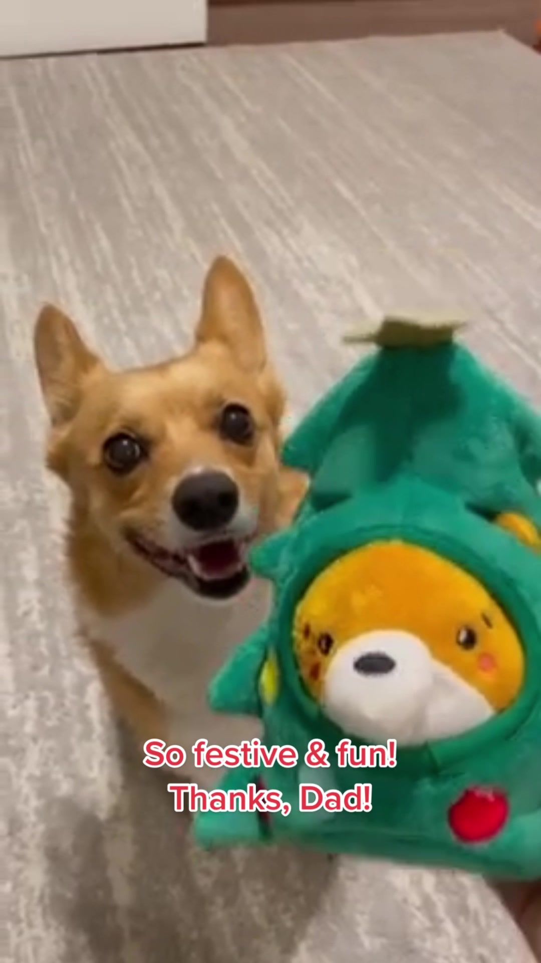 Video post by @petsmart on TikTok