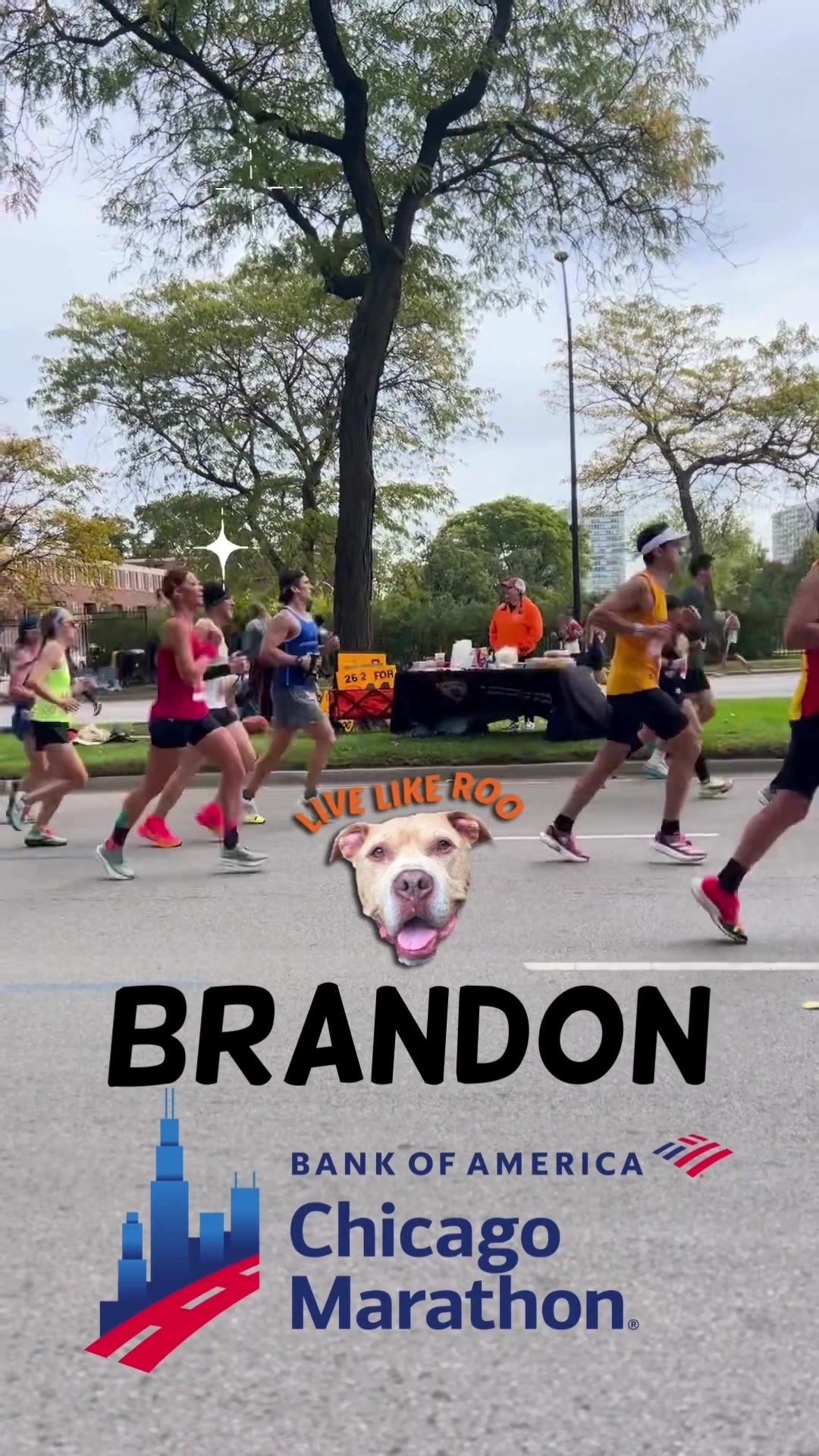 Video post by @livelikeroofoundation on TikTok