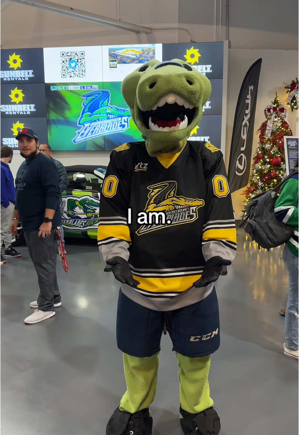 Video post by @fl_everblades on TikTok