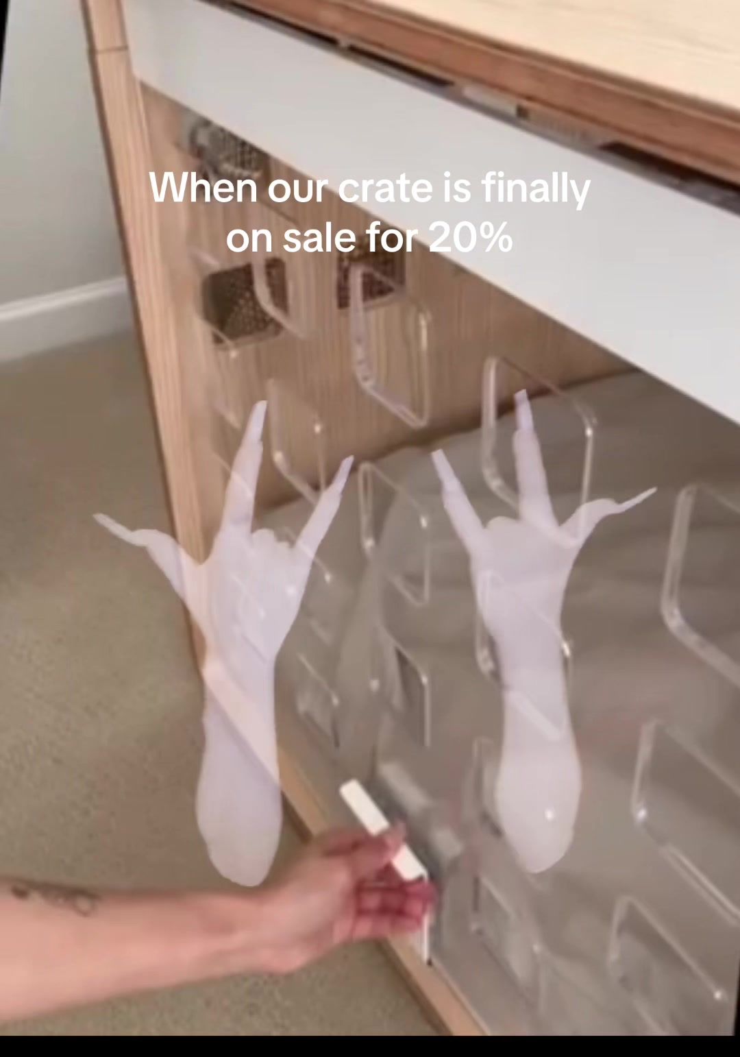 Video post by @fablepets on TikTok