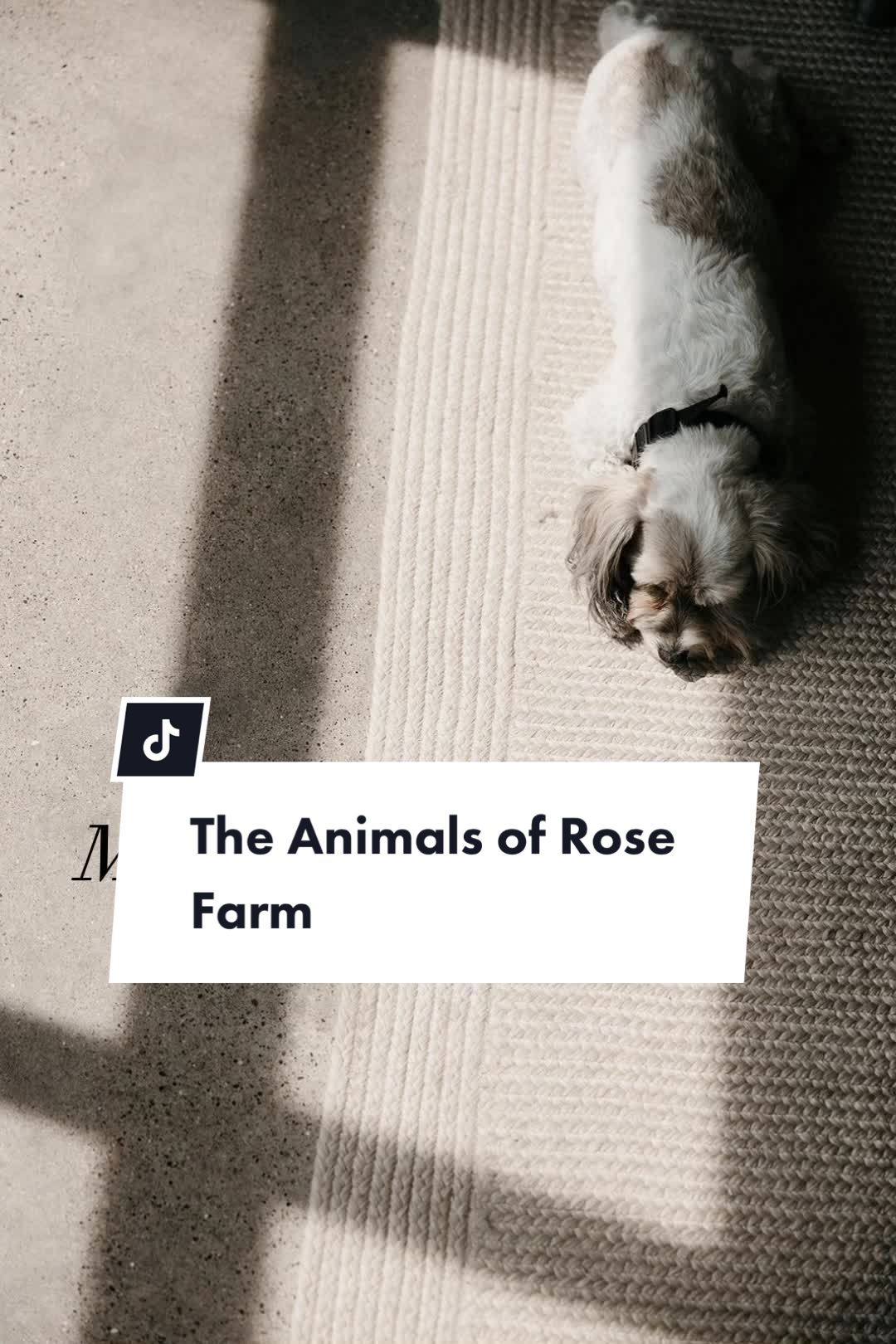 Video post by @rosefarmstead on TikTok