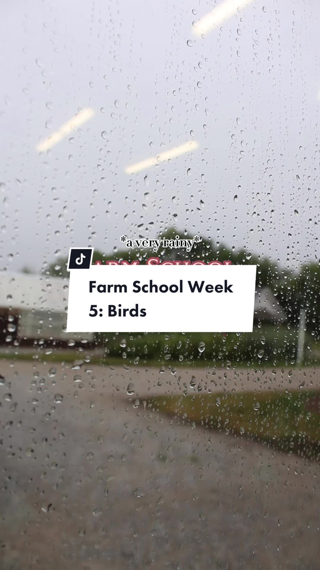 Video post by @rosefarmstead on TikTok