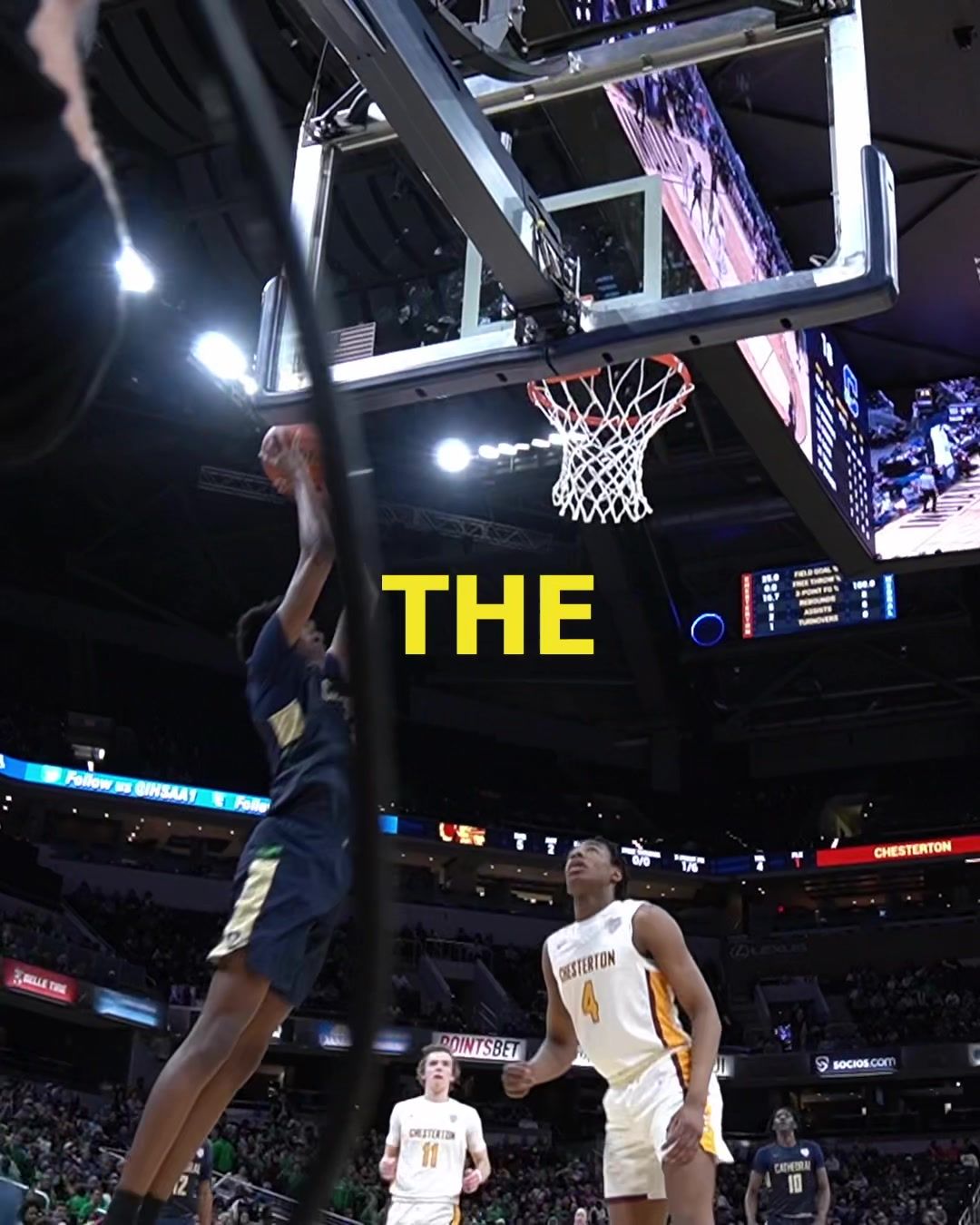 Video post by @daomedia on TikTok