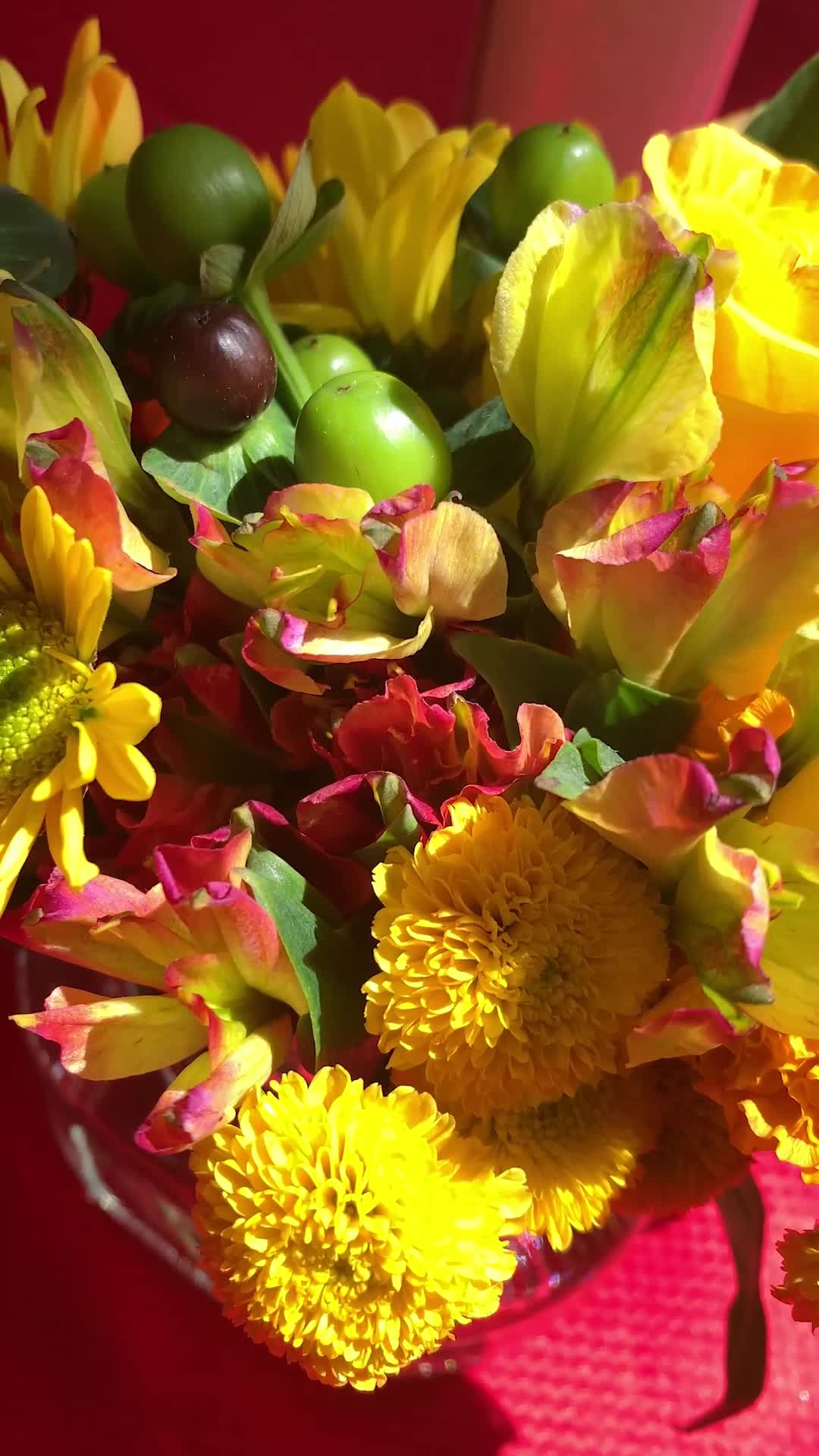 Video post by @spaghettios on TikTok