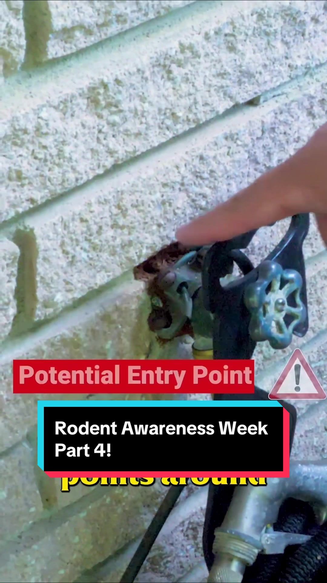 Video post by @bugbustersusa on TikTok