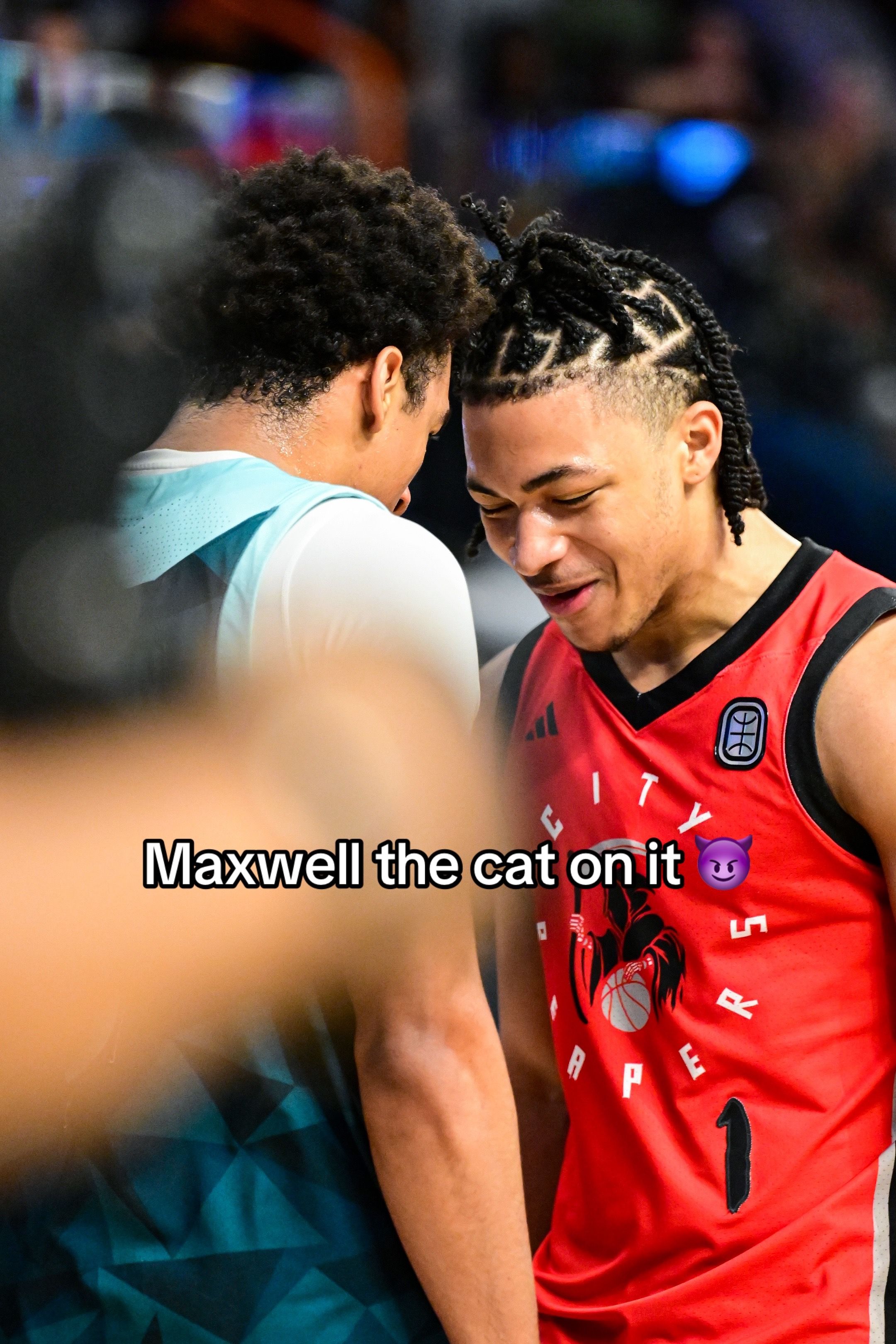 Video post by @cityreapers on TikTok