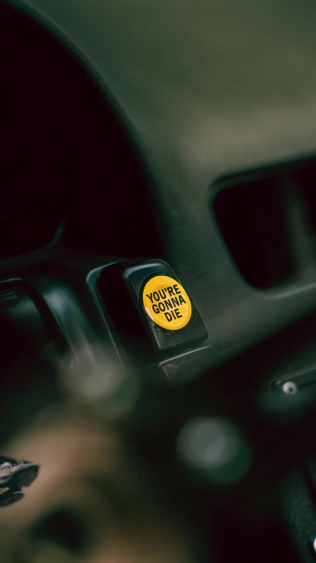 Video post by @thelensdaddy on TikTok