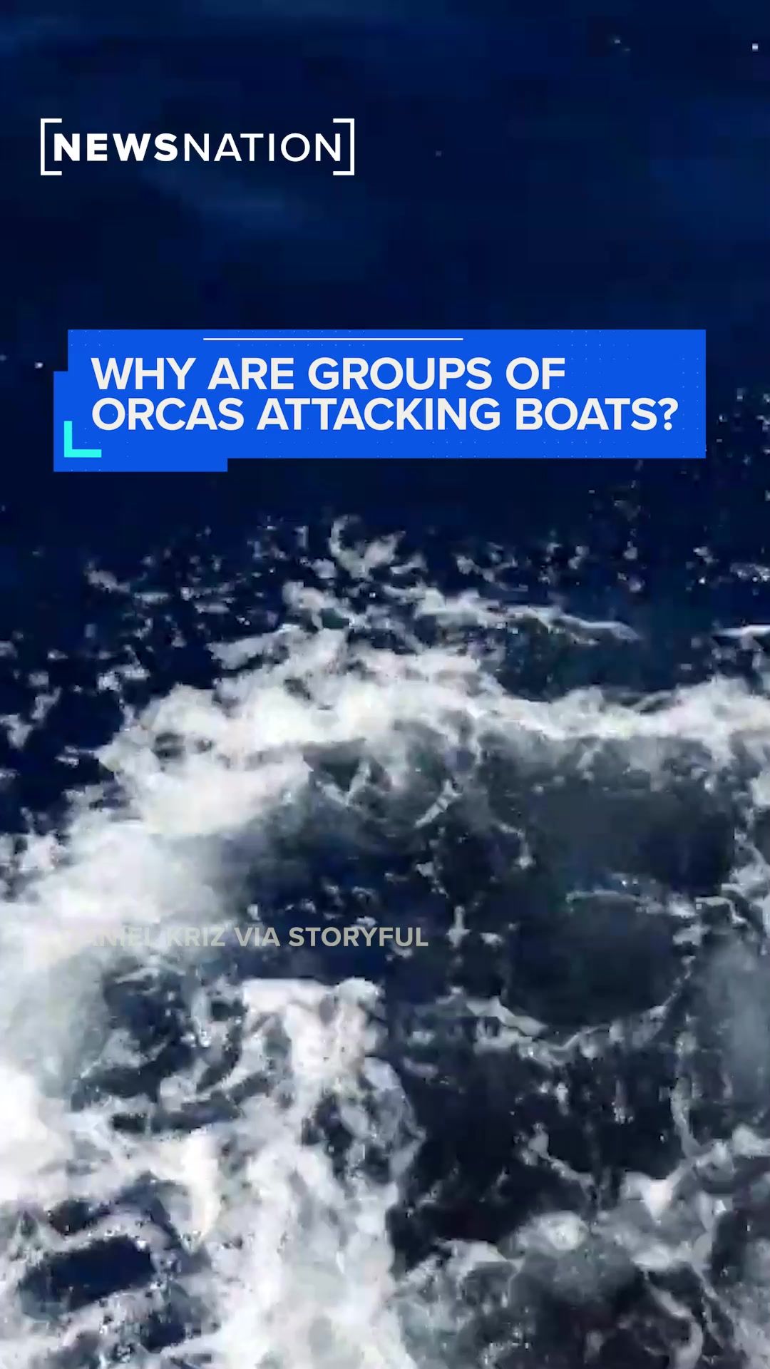 Video post by @newsnationnow on TikTok