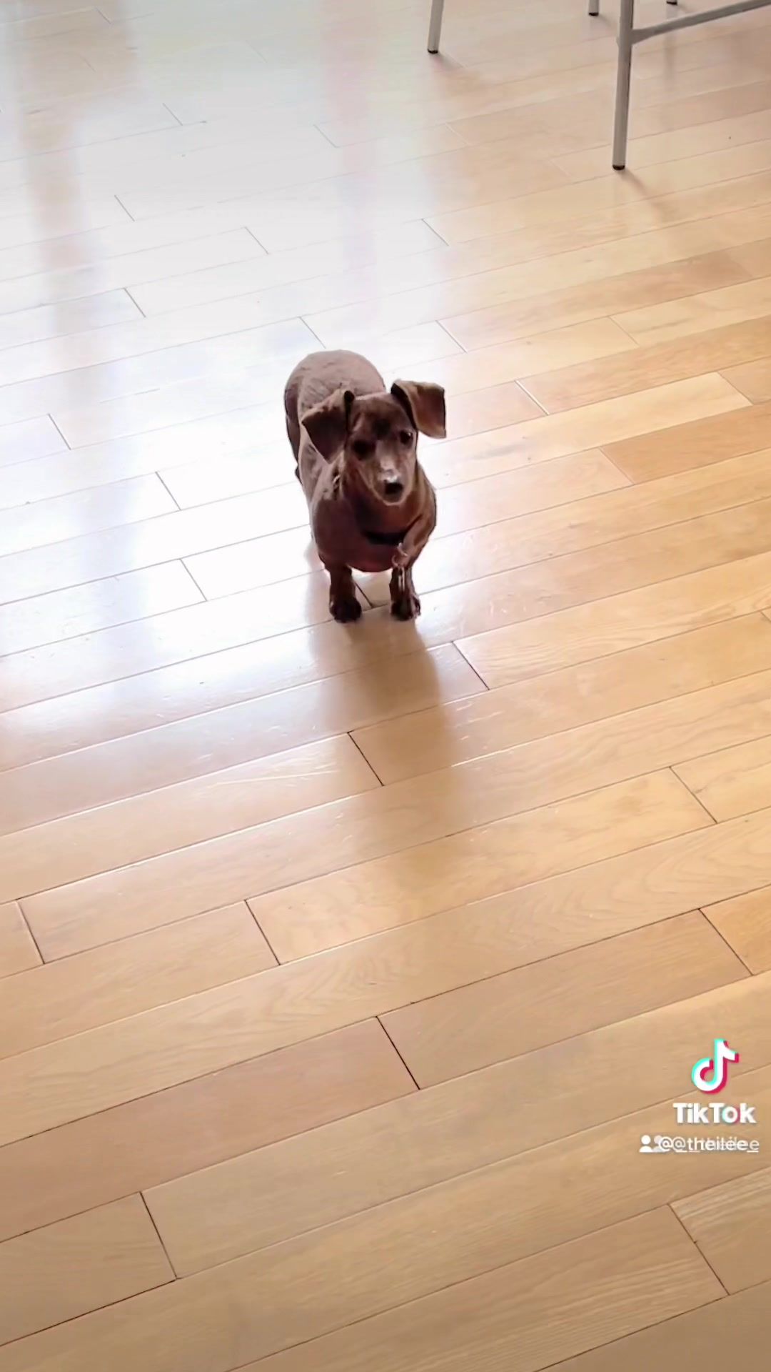 Video post by @_theilee_ on TikTok