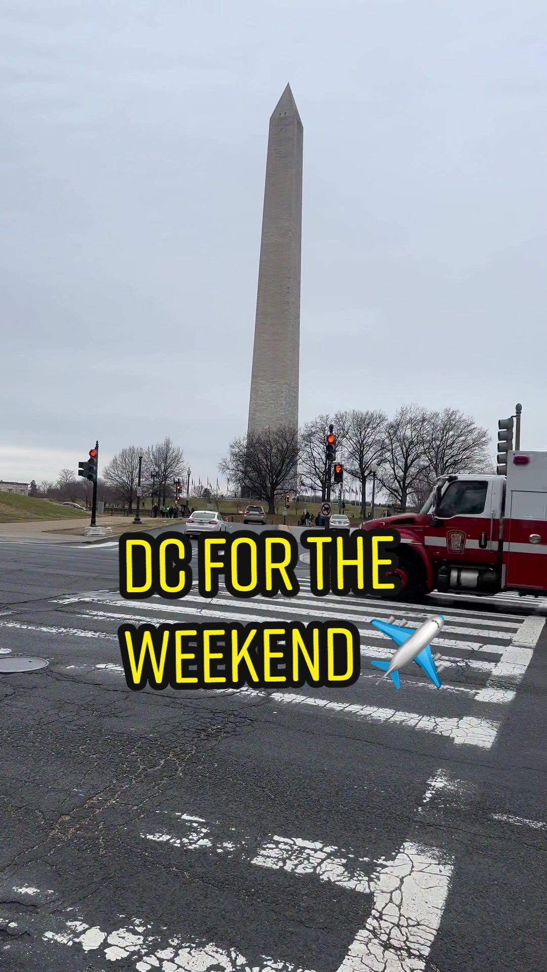 Video post by @swaleeats on TikTok