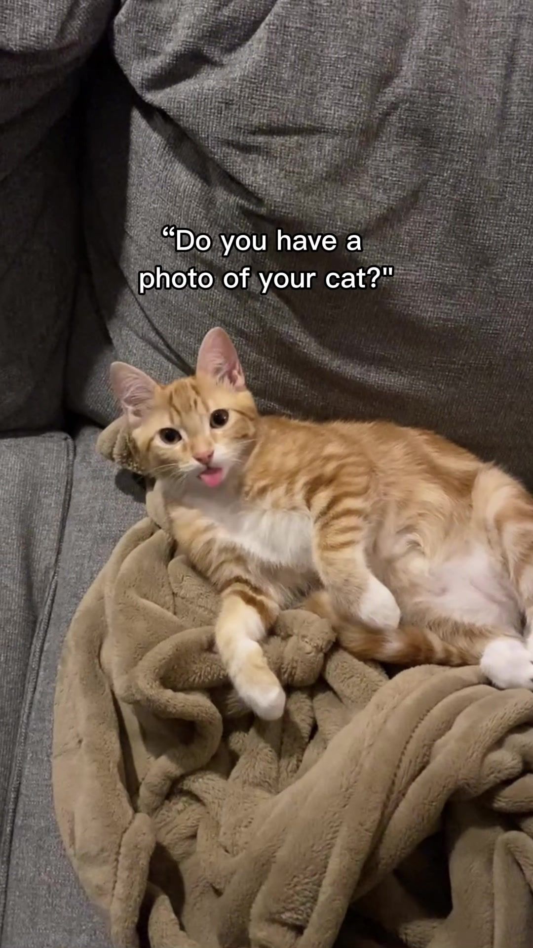 Video post by @alexwarneke on TikTok