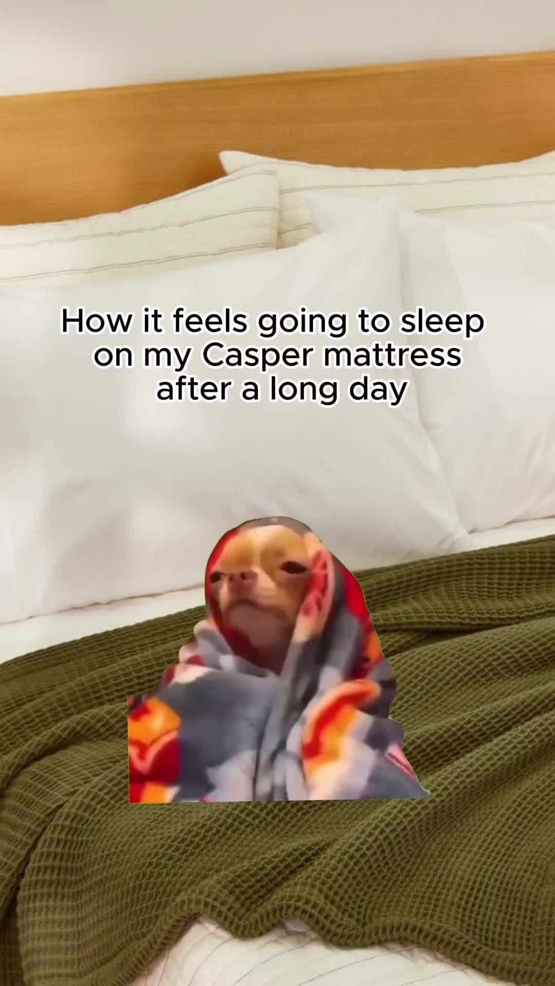 Video post by @casper on TikTok